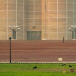 pexels photo 35075095.jpeg